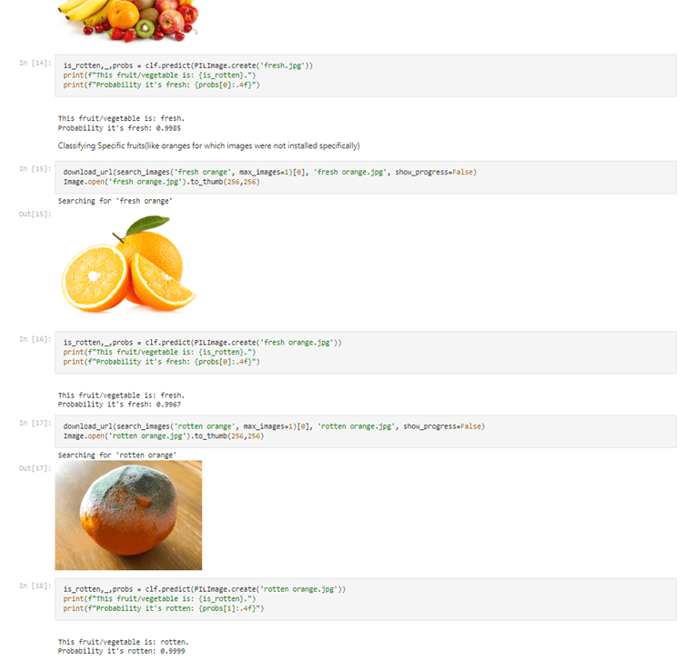 Image Classifier
